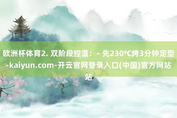 欧洲杯体育2. 双阶段控温：- 先230℃烤3分钟定型-kaiyun.com-开云官网登录入口(中国)官方网站