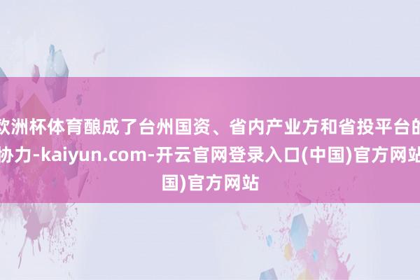 欧洲杯体育酿成了台州国资、省内产业方和省投平台的协力-kaiyun.com-开云官网登录入口(中国)官方网站