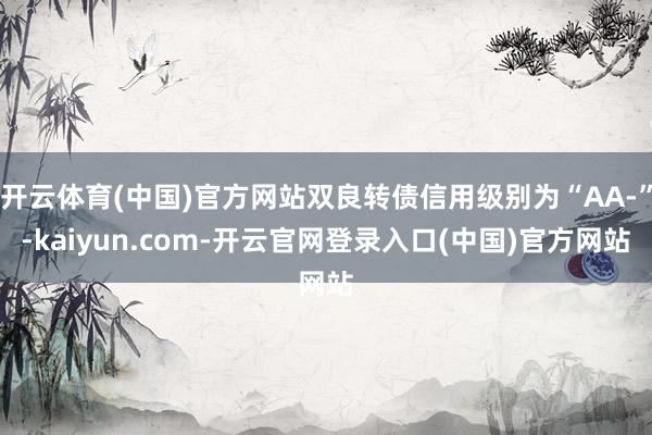 开云体育(中国)官方网站双良转债信用级别为“AA-”-kaiyun.com-开云官网登录入口(中国)官方网站