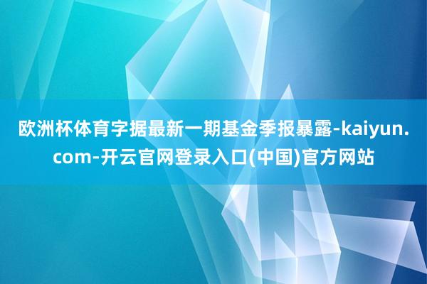 欧洲杯体育字据最新一期基金季报暴露-kaiyun.com-开云官网登录入口(中国)官方网站