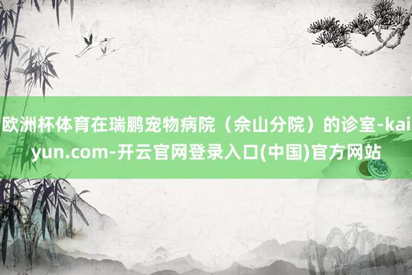 欧洲杯体育在瑞鹏宠物病院（佘山分院）的诊室-kaiyun.com-开云官网登录入口(中国)官方网站