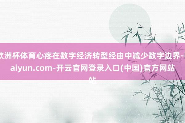 欧洲杯体育心疼在数字经济转型经由中减少数字边界-kaiyun.com-开云官网登录入口(中国)官方网站